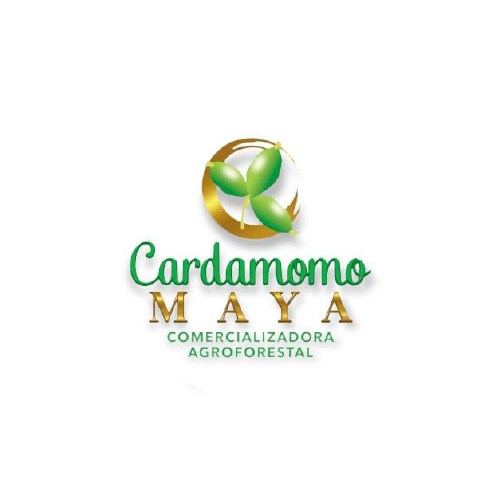 Cardamomo Maya